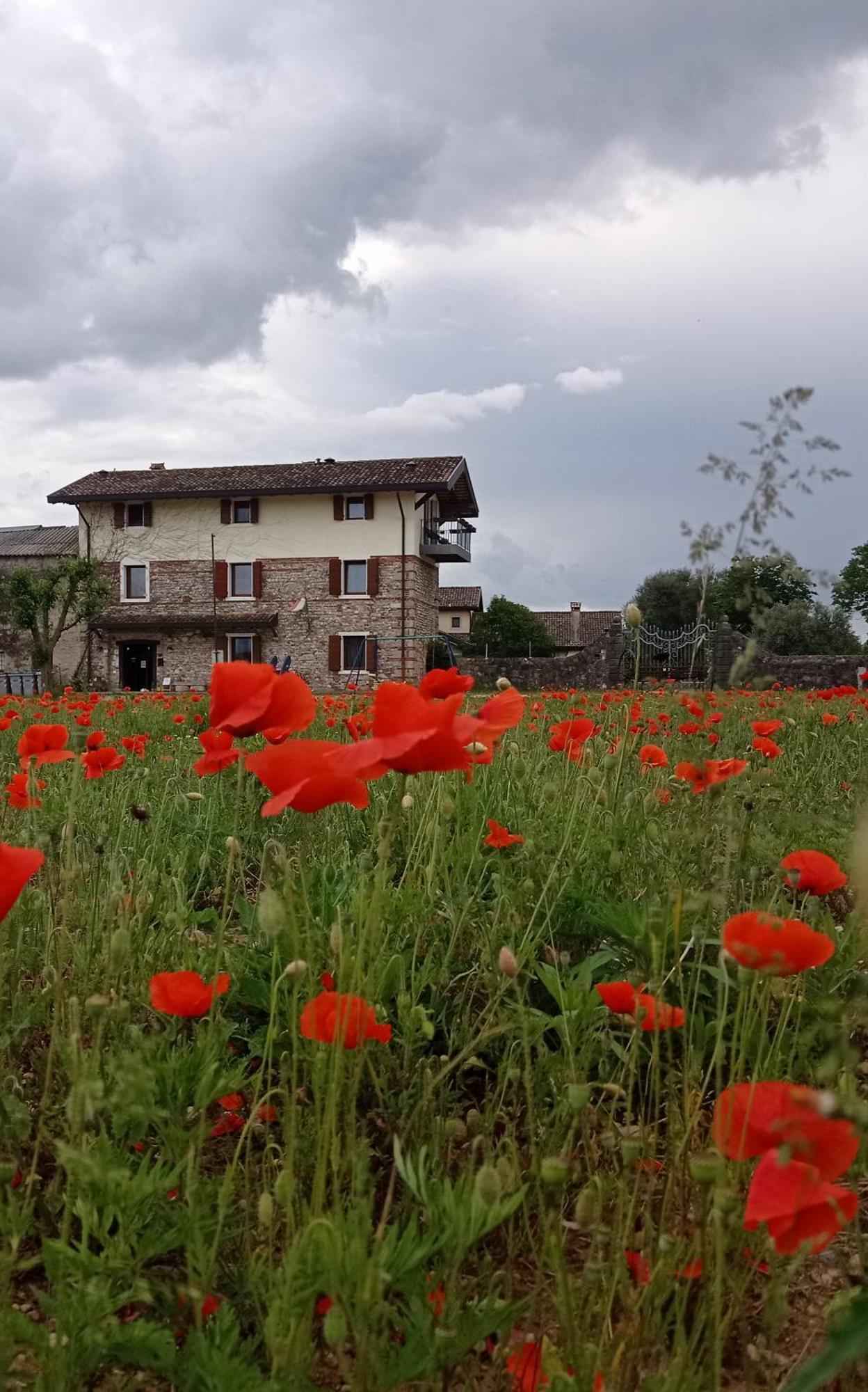 Villa Casal Micelio à Udine Extérieur photo
